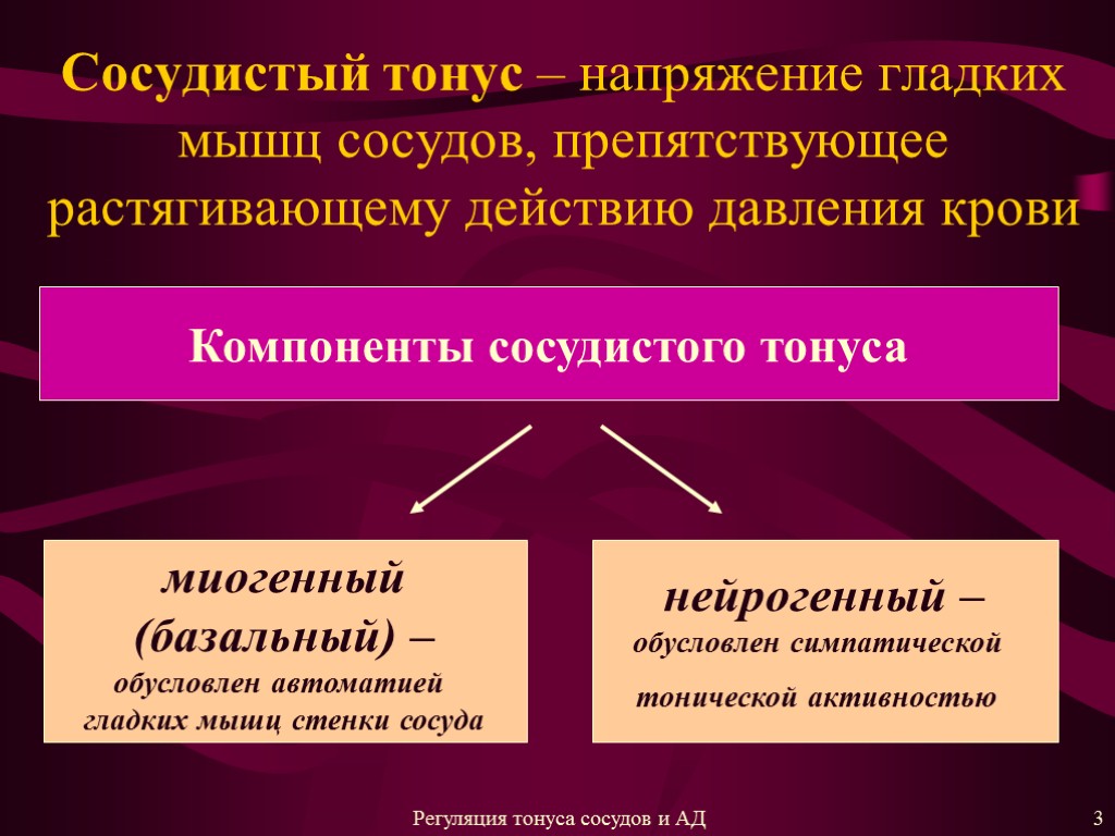 Сосудистый тонус – напряжение гладких мышц сосудов, препятствующее растягивающему действию давления крови Компоненты сосудистого